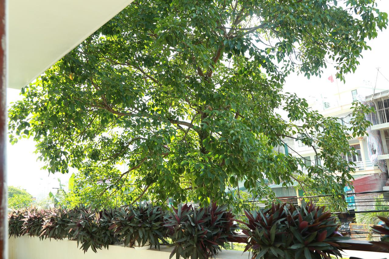 Thien Thanh Hotel Phong Nha Bagian luar foto
